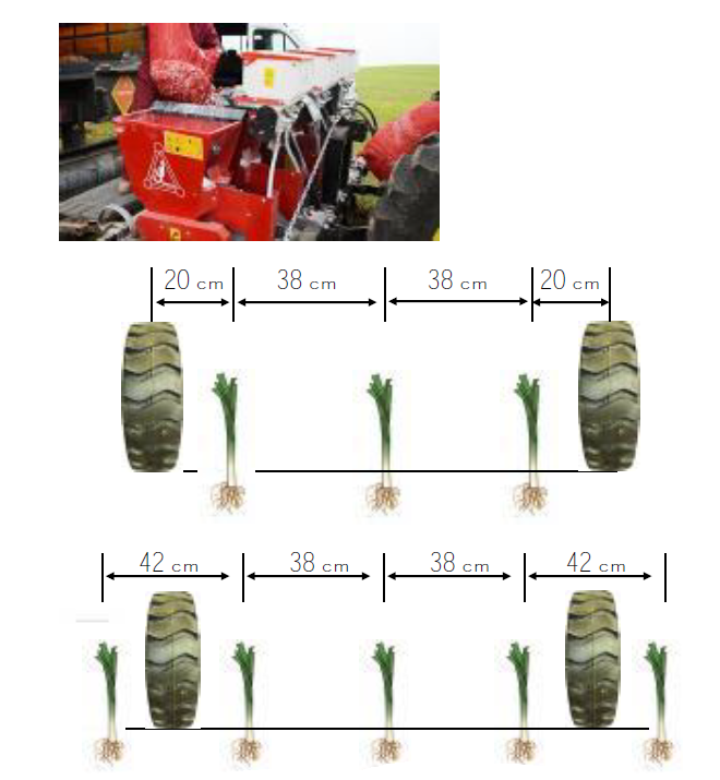 Mechanicky Sazec Cesneku (sázecího stroje, mechanického sázecího, mechanického sázecího stroje) Mechanicky Sazec Cesneku